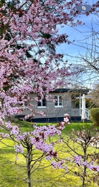 Ferienhaus Meine Insel Scheid  Buitenkant foto